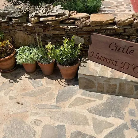 Cuile Nanni D'oro *